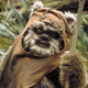Illustration for article titled Why Ewoks are the Most Realistic Aliens in iStar Wars/i